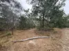 402 Adies Road, Isis Central, Qld 4660-Image