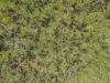 405 Barramundi Drive, Dundee Downs, NT 0840-Image