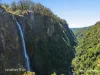 41 Ford Street, Elands, NSW 2429-Image