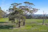 41 Holts Road, Elliminyt, Vic 3250-Image