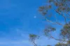 41 Holts Road, Elliminyt, Vic 3250-Image