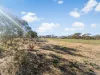 41 Maiolo Way, Merredin, WA 6415-Image