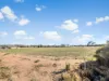 41 Maiolo Way, Merredin, WA 6415-Image