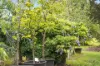 41 Oxleys Hill Road, Bowral, NSW 2576-Image