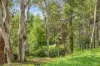 41 Oxleys Hill Road, Bowral, NSW 2576-Image