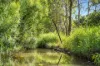 41 Oxleys Hill Road, Bowral, NSW 2576-Image