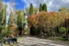 41 Oxleys Hill Road, Bowral, NSW 2576-Image