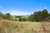 41 Retallacks Road, Mirboo North, Vic 3871-Image