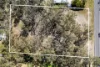 41 Rosebank Drive, Wallalong, NSW 2320-Image