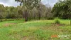 41 School Street, Walterhall, Qld 4714