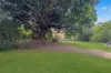 41 Woongool Road, Tinana, Qld 4650-Image