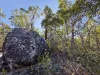 412 Back Creek Road, Crows Nest, Qld 4355-Image