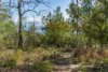 414 & 416 Nebraska Road, Killora, Tas 7150-Image