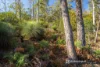 414 & 416 Nebraska Road, Killora, Tas 7150-Image