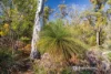 414 & 416 Nebraska Road, Killora, Tas 7150-Image