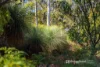 414 & 416 Nebraska Road, Killora, Tas 7150-Image