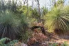 414 & 416 Nebraska Road, Killora, Tas 7150-Image