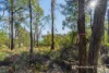 414 & 416 Nebraska Road, Killora, Tas 7150-Image