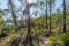 414 & 416 Nebraska Road, Killora, Tas 7150-Image