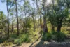 414 & 416 Nebraska Road, Killora, Tas 7150-Image
