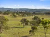 414 Spring Range Road, Springrange, NSW 2618-Image