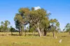 414 Spring Range Road, Springrange, NSW 2618-Image