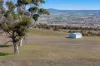 417 Range Road, Rockleigh, SA 5254-Image