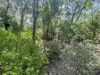 418-420 Scenic Highway, Rosslyn, Qld 4703-Image