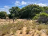 418-420 Scenic Highway, Rosslyn, Qld 4703-Image