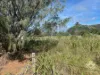 418-420 Scenic Highway, Rosslyn, Qld 4703-Image