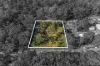 42-43 Melbourne Road, Grantham Farm, NSW 2765