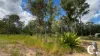 42 Billabong Way, Bucca, Qld 4670-Image