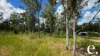 42 Billabong Way, Bucca, Qld 4670-Image