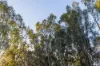 42 Bullock Drive, Oakford, WA 6121-Image