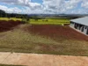 42 Countryview Drive, Atherton, Qld 4883