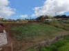 42 Countryview Drive, Atherton, Qld 4883-Image