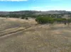 42 Ferguson Road, Coondle, WA 6566-Image