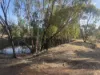 42 Ferguson Road, Coondle, WA 6566-Image