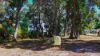 42 Karri Street, Walpole, WA 6398-Image