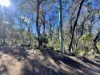 42 Mount Piddington Rd, Mount Victoria, NSW 2786-Image