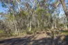 42 Mount Piddington Rd, Mount Victoria, NSW 2786-Image