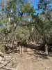 4244 Hill End Road, Mudgee, NSW 2850