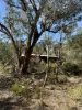 4244 Hill End Road, Mudgee, NSW 2850-Image