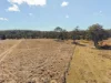 4245 Esk Hampton Road, Hampton, Qld 4352-Image