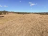 4245 Esk Hampton Road, Hampton, Qld 4352-Image