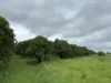 425 Bartlett Road, Horseshoe Lagoon, Qld 4809-Image