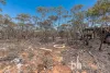 427 Codrington Road, Mannum, SA 5238-Image