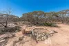 427 Codrington Road, Mannum, SA 5238-Image