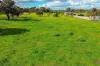 42A Williams Road, Two Wells, SA 5501-Image