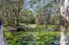 43 Rutch Road, Doonan, Qld 4562-Image